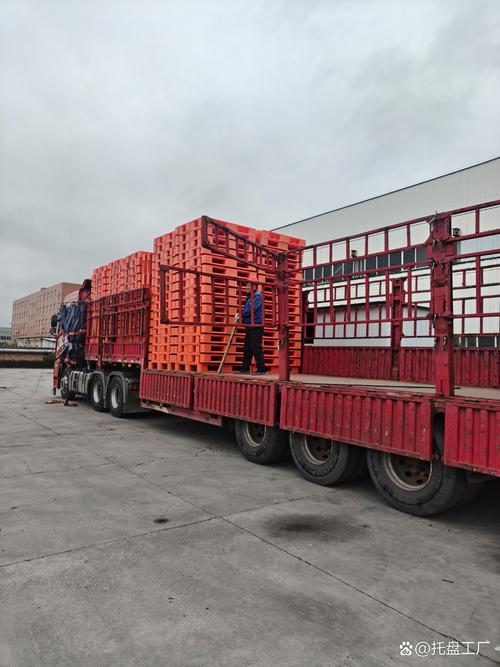 新乡塑料托盘源头工厂 200+规格桩养医教器材行业的可靠之选